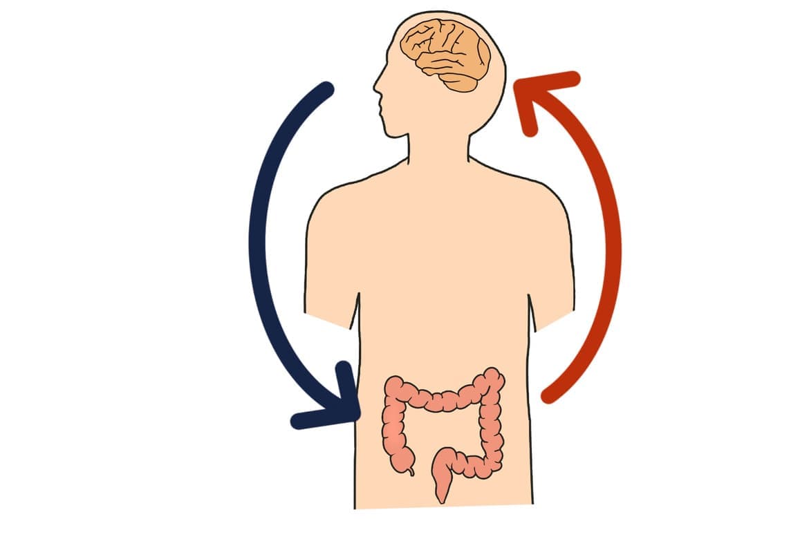 過敏性腸症候群　鍼灸